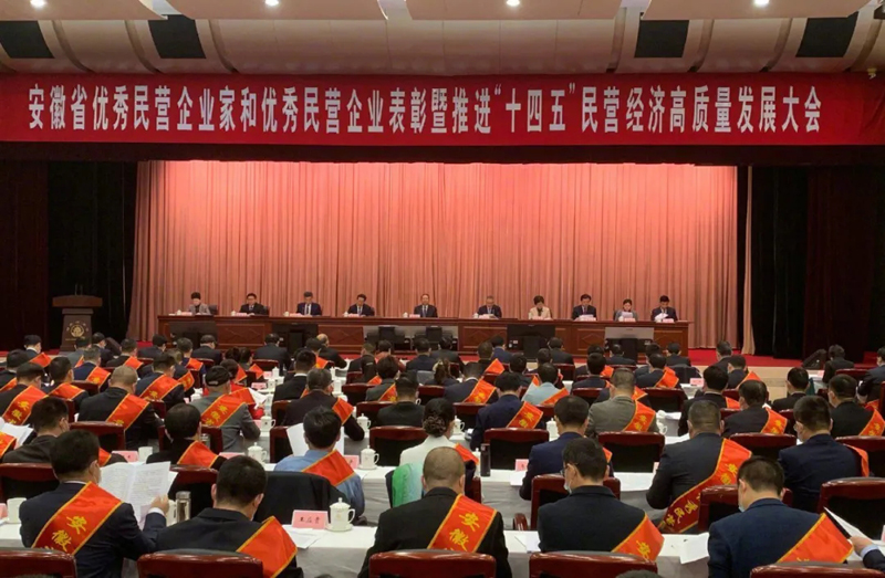 喜訊！元琛科技總經理梁燕被授予“安徽省優秀民營企業家”稱號